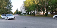 В Выборгском районе правоохранители выявили грубые нарушения ПДД - Spbdnevnik.ru