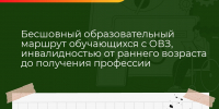 «Бесшовный образовательный маршрут обучающихся с ОВЗ, инвалидностью от раннего возраста до получения профессии». - Департамент образования