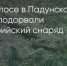 Поделитья во ВКонтакте - Братская Студия Телевидения