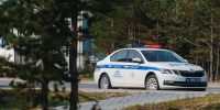 Фото: Алина Дьякова/«Ямал-Медиа» - Ямал-Медиа