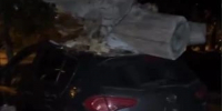 Дерево рухнуло на припаркованный автомобиль в Барнауле - Комсомольская Правда