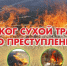 Сухая трава - не мусор, а угроза - Город Искитим