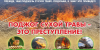 Сухая трава - не мусор, а угроза - Город Искитим