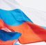 Сегодня в России отмечается День Государственного флага - СГТУ