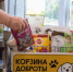 Дзержинцы заполнили две тележки кормом для бездомных животных - ProDzer.Ru