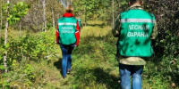 Уже вторую неделю в Хабаровском крае не зафиксировано ни одного лесного пожара - Правительство Хабаровского края