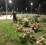 В Балакове продолжаются работы по благоустройству города - Балаковские вести