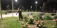 В Балакове продолжаются работы по благоустройству города - Балаковские вести