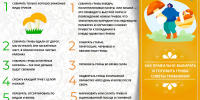 Грибная пора: чек-лист безопасного сбора, чистки и заготовки грибов - Роспотребнадзор