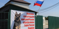 Собаки в помощь людям на СВО - Челябинская городская дума