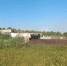 Пруд 1 - OrelTimes.Ru