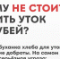 Ответственная забота о братьях наших меньших: как не навредить дикой природе в городе - Альметьевский район
