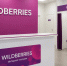 Правительство РФ поддержит пострадавший от атак БПЛА на Wildberries бизнес - Луганский Информационный Центр