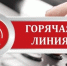 «Горячая линия» избирательной комиссии Архангельской области работает ежедневно - Общественная палата