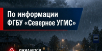 Метеопредупреждение № 179. - Красноборский муниципальный округ