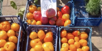 Белгородцев пригласили за свежими продуктами на ярмарку - Сетевое издание Знамя 31