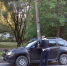 Полиция выявила пьяных водителей и другие грубые нарушения на трассах Выборгского района Ленобласти - Online47.Ru