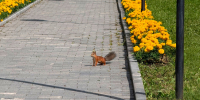 itvvTH0qfsc8pueqn6x6iwQ6WYSbhnTEuOmT2Q0aXoc10Uksfjj8SOavm8CBahq2XwjphR7wljbC_efd-E67YB9M.jpg - Музей-заповедник