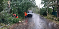 В Новгородской области ливень с порывистым ветром идёт уже несколько дней. - Новгородские Ведомости