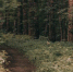 Вологда-поиск - Вологда-поиск