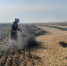 В Орловской области подтвердились еще две термические точки - Орловский Вестник