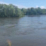 Вода на Нижнеспасском в ЕАО отступает: запас до опасной отметки - 29 см - ИА Eaomedia.Ru