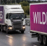 В Новосибирске массово продают ПВЗ Wildberries: цены на готовый бизнес упали - Сиб.фм