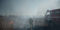 Пожары за выходные уничтожили в ЛНР более 170 га растительности — МЧС - Луганский Информационный Центр