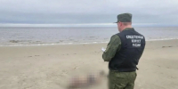 Мужчина попал в воду без спасательного жилета | Источник: СУ СК России по Архангельской области - 29.Ru