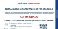 Дистанционное электронное голосование - Департамент по труду и соцзащите