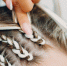 Фото: Max4e Photo/Shutterstock/Fotodom - Ямал-Медиа
