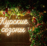 В Курске на неделе состоится серия вечерних концертов под открытым небом - РИА Курск