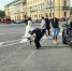 Количество браков среди зумеров снизилось почти вполовину за 20 лет - Санкт-Петербург.ру