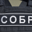 При силовой поддержке Росгвардии задержаны подозреваемые в незаконном обороте наркотических средств в Калмыкии - Росгвардия