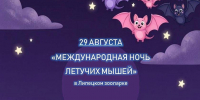 В липецком зоопарке расскажут интересные факты о жизни летучих мышей и развеют страхи и мифы о них - Город Липецк