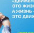 Активные виды спорта помогают продлевать жизнь и повышают ее качество - Шуйский район