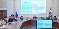 В Новосибирской области оценили ситуацию в лесах после засухи - Сиб.фм