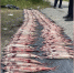 6d9b3c33-dcef-467a-ae97-567b3c79a756.jpg - Gorod3466.Ru