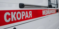 Фото: Алина Дьякова/«Ямал-Медиа» - Ямал-Медиа