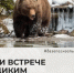 Памятка. О правилах поведения при встречи с дикими животными. - Администрация Солтонского района