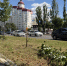 Вандалы поломали липы на аллее у Памятника Чернобыльцам - Gorod48.ru