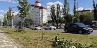 Вандалы поломали липы на аллее у Памятника Чернобыльцам - Gorod48.ru