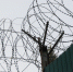 14 лет колонии получил иностранец за покушение на совершение теракта в Барнауле - Комсомольская Правда