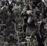 Перше Травня, Кучеров Яр и Долинка: ВС России продолжают освобождать территории ДНР и Запорожья - Донецк Медиа