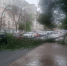 На улице Первомайской в Самаре упало дерево 24 августа - Комсомольская Правда Самара