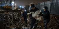 Травмированного лебедя спасли со стройплощадки в Мурино - Online47.Ru