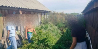 Почти 270 граммов конопли изъяли полицейские у жителя Саракташского района - ProOren.Ru