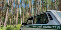 Зафиксировано 3 случая захламления лесосек порубочными остатками в Кинель-Черкасском, Рачейском и Шенталинском лесничествах. - НИА Самара