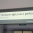 В аэропорту Курумоч изъяли 46 кг животноводческой продукции - SamaraGIS.Ru