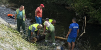 Сильный ветер повалил четыре дерева в русло реки на набережной Белгорода - Belnovosti.Ru